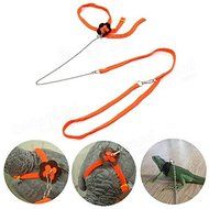 Bargain World Generic Adjustable Reptile Lizard Harness Leash Pet Leash N4
