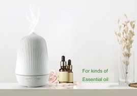 New Arrival Portable design Fashion Car Air Fresheners Ultrasonic Non-Slip Adjustment aroma Humidifier commercial...