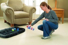 Woolite INSTAclean Pet Stain Remover, 1783 N2