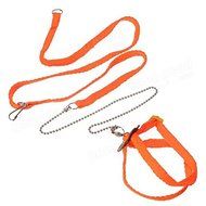 Bargain World Generic Adjustable Reptile Lizard Harness Leash Pet Leash N5