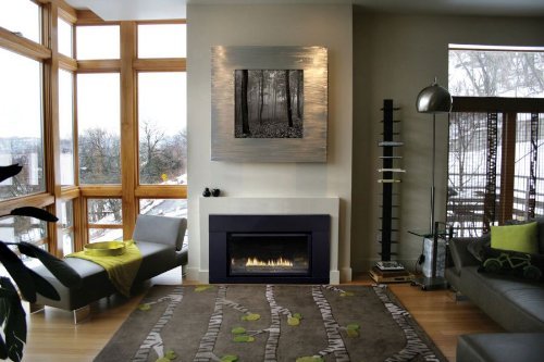Loft Small Direct-Vent Fireplace Insert DVL25IN33N - Natural Gas