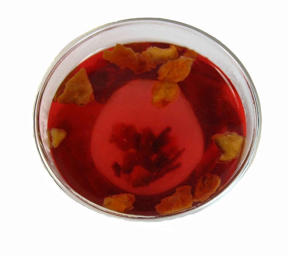 Gynostemma Tea, Gynostemma is also known as Jiaogulan &ndash; 1lb Tea Bag. N33