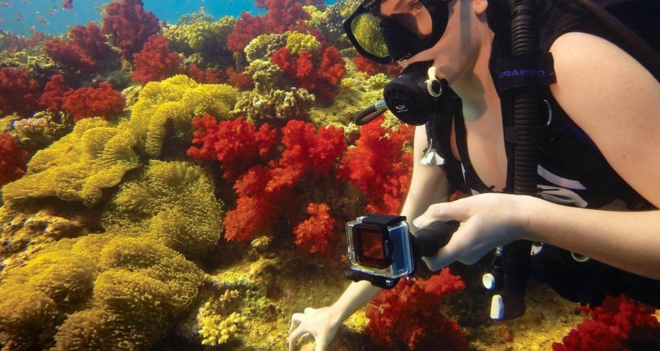 GoPro Hero4 Hero 4 12MP Full HD 4K 30fps 1080p 120fps Built-In Wi-Fi Waterproof Wearable Camera Black Adventure... N12