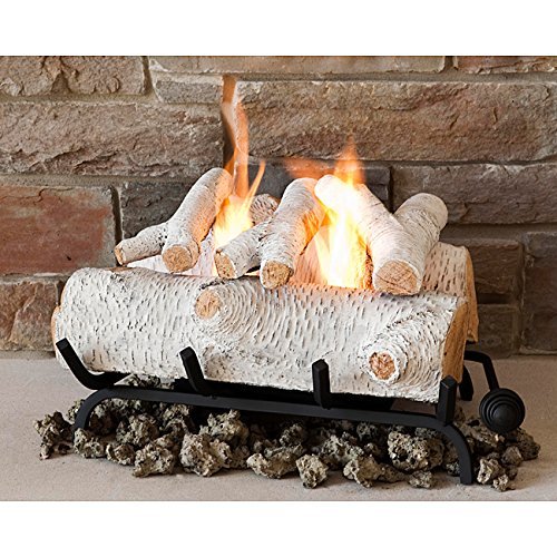 Real Flame Birch 18-inch Convert-To-Gel Log Set,Gel-Fuel Fireplaces
