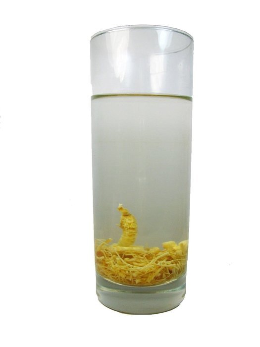Gynostemma Tea, Gynostemma is also known as Jiaogulan &ndash; 1lb Tea Bag. N47