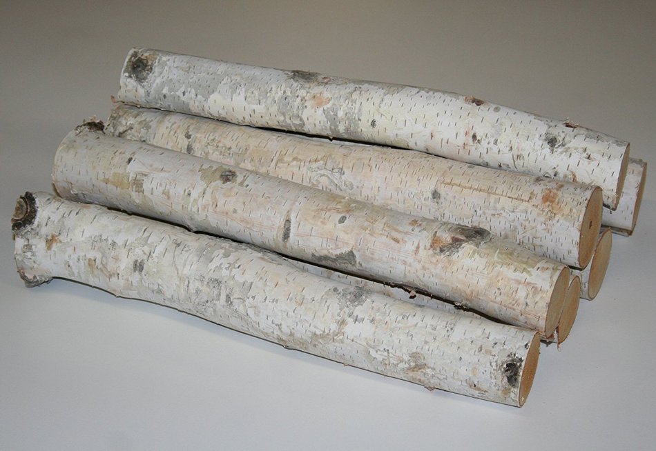 Birch Bundle of Logs
