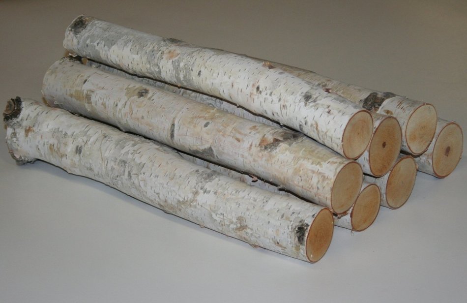 Birch Bundle of Logs N2