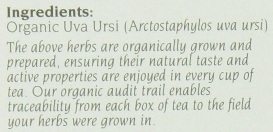 Celebration Herbals Uva Ursi Herbal Tea -- 24 Tea Bags N2