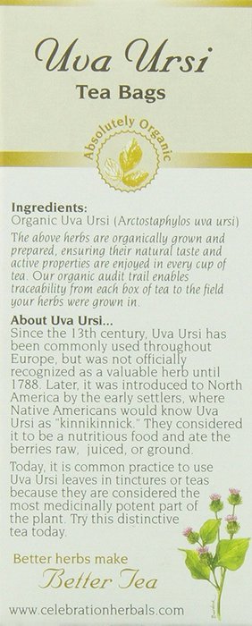 Celebration Herbals Uva Ursi Herbal Tea -- 24 Tea Bags N3