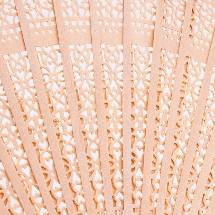 Leegoal(TM) Pink and Green Cherry Blossom Pattern Lace Bamboo Handheld Folding Fans for Girls Women N38