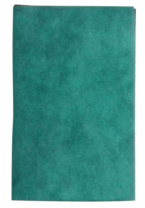WEB Eco Filter Replacement Pad, 6 Year N2