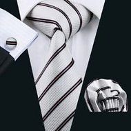 Dan Smatree Stripe White Tie Jacquard Silk Business Meeting Necktie Classic Mens Tie
