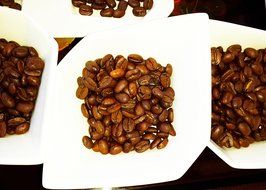 Santo Domingo Whole Roasted Bean Dominican Coffee 2 Bags / Pounds Pack N4