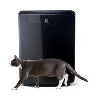 Electrolux PureOxygen Allergy 450 Ultra Allergen &amp; Odor HEPA 5-Stage Filtration Air Cleaner / Air Purifier, Black N3