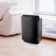 Electrolux PureOxygen Allergy 450 Ultra Allergen &amp; Odor HEPA 5-Stage Filtration Air Cleaner / Air Purifier, Black N4