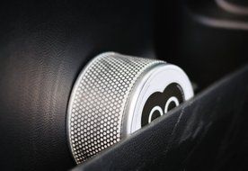 Coco Natural Air Freshener Max Naturally Absorbs Odors, Allergens &amp; Harmful Pollutants for Home, Car, Sports Bag... N15