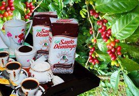 Santo Domingo Whole Roasted Bean Dominican Coffee 2 Bags / Pounds Pack N6