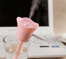 Holly Store Lucky Flower Autumn Remove Drying Office Mini Humidifier Pink N10