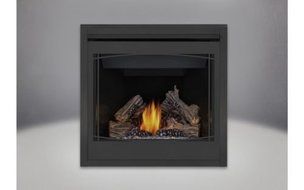 Ascent 36 Vent Fireplace with Black door - Natural Gas