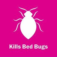 Reliable E40 Enviromate Viva Deluxe Steam Cleaner with Continuous Steam System N2