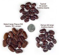 Papua New Guinea Organic Wild-grown Unroasted Green Coffee Beans (3 LB) N4