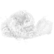 Lady Women's Floral Print Lace Sheer Tassel Mantilla Scarf Shawl Wrap Vogue