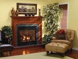 Tahoe Luxury 42 DV Fireplace, Door set &amp; Banded Brick Liner, NG