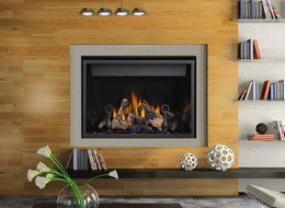 HD46NT - Napoleon HD46NT Direct Vent Clean Face HD Natural Gas Fireplace, - 7266