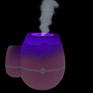 GetMine Flower Arranging and Air Humidification Multi-use Home or Office Desktop Mini Mist Humidifier, Pink N9