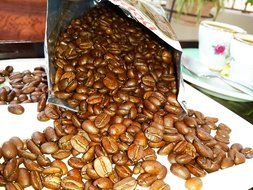 Santo Domingo Whole Roasted Bean Dominican Coffee 2 Bags / Pounds Pack N9