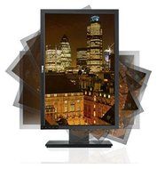Dell P2210 22&quot; Wide LCD Monitor