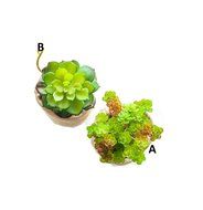 tyoungg Handmade Faux Artificial Succulent Plant Home Decor Bamboo Charcoal Air Purifying Bag (A)