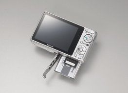 Sony Cybershot DSC-S950 10MP Digital Camera with 4x Optical Zoom with Super Steady Shot Image Stabilization (Silver) N4