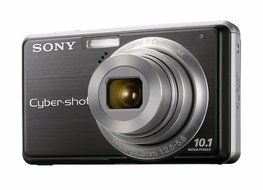Sony Cybershot DSC-S950 10MP Digital Camera with 4x Optical Zoom with Super Steady Shot Image Stabilization (Silver) N5