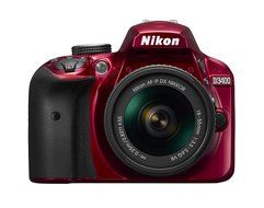 Nikon D3400 w/ AF-P DX NIKKOR 18-55mm f/3.5-5.6G VR &amp; AF-P DX NIKKOR 70-300mm f/4.5-6.3G ED N2