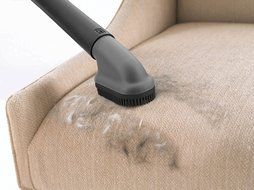 Dirt Devil Jaguar Pet Bagless Upright Vacuum, UD70230 - Corded N3