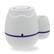 GetMine Flower Arranging and Air Humidification Multi-use Home or Office Desktop Mini Mist Humidifier, Pink N17