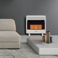 Avenger Dual Fuel Vent Free Infrared Heater - 30,000 BTU, Model# FDT3IR N2