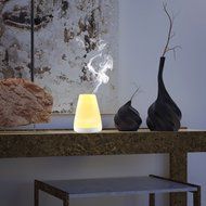 1508B 100ml Household Office Waterless Auto ShutOff Function Humidifier Ultrasonic Essential Oil Diffuser N7