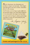American Classic Pyramid Teabags, 12 Count N5