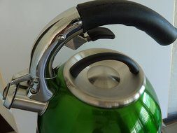 BERGNER - Green Whistling Kettle 92 fl.oz. (2.72 L) N2