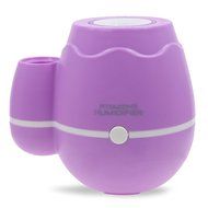 GetMine Flower Arranging and Air Humidification Multi-use Home or Office Desktop Mini Mist Humidifier, Pink N18