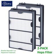 Breathe Naturally True HEPA Filter For Holmes HAPF600D-U2, Filter B, 2 Pack