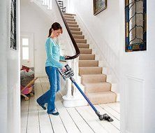 Youzee Animal Bagless Cordless Stick Vacuum: Blue/Iron N2