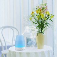 Meriton Aromatherapy Essential Oil Aroma Diffuser 7 colors - 100 ml Portable Ultrasonic Cool Mist Aroma Humidifier... N6