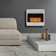 Avenger Dual Fuel Vent Free Infrared Heater - 30,000 BTU, Model# FDT3IR N4