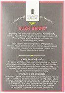Higgins &amp; Burke Loose Leaf Tea, Lush Berry, 24 Count N18