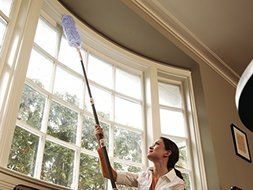 Bissell High Reach Duster N2