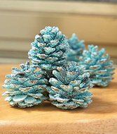 Fireplace Rainbow Flame-Coloring Flame Changing Pine Cones 1 Pound Bag N2