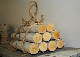 Roped Bundle of Birch Logs N2